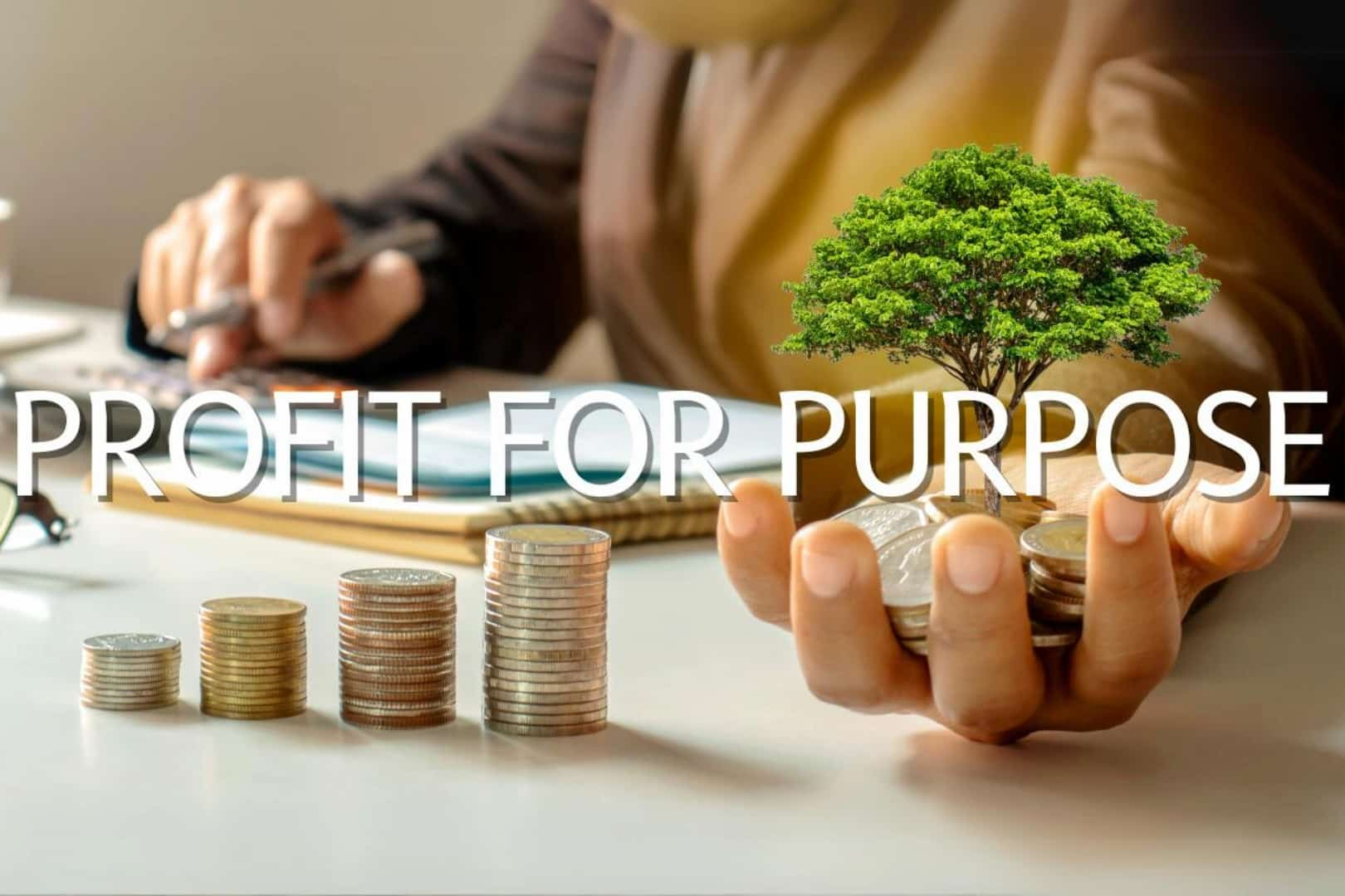 Profit for purpose